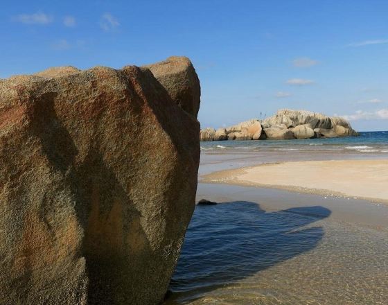 科亞 自由行套票