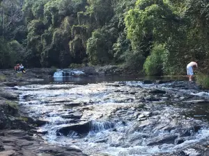 Gardners Falls