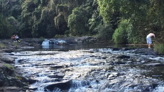 Gardners Falls