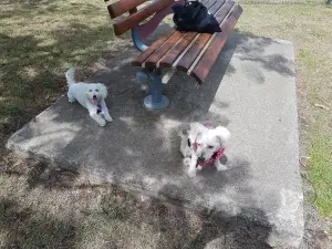 로씨터 공원