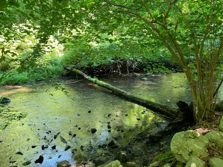 Hotels near Citigroup Armonk Conference Center