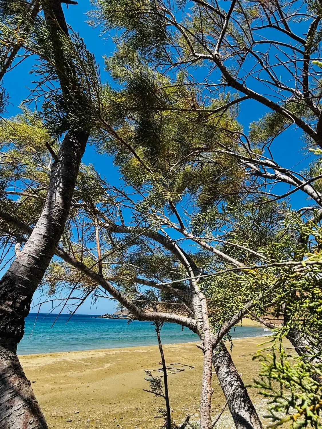 Hotels near Apigania Beach