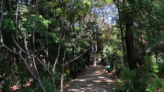 Arboretum Nacional