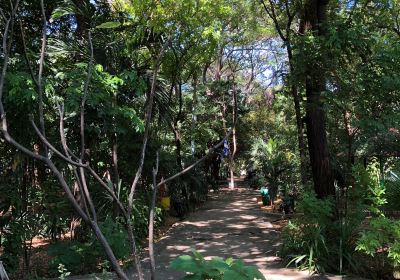 Arboretum Nacional