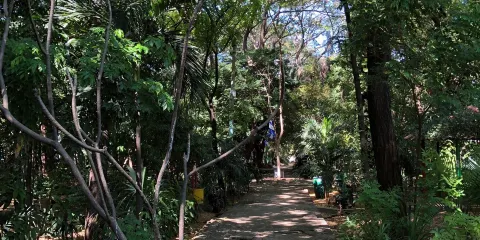 Arboretum Nacional