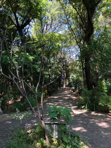 Arboretum Nacional