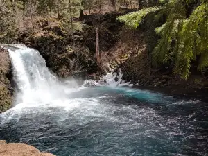 McKenzie River Trail