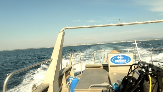 Octopus Diving Center