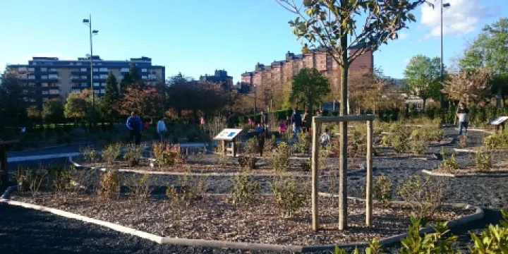 Jardin de la Galaxia