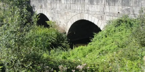 Ponte de Vilela