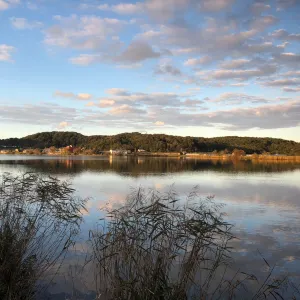 離湖公園