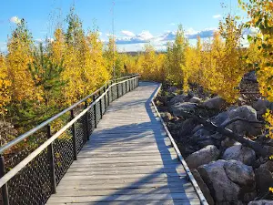 Grävlingsberget