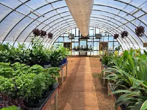 Deep Roots Home and Garden Center