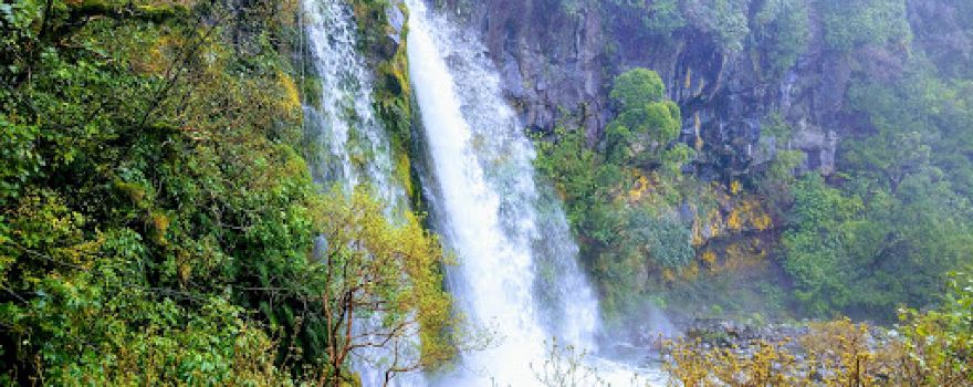 Dawson Falls