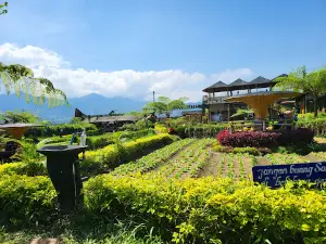 Pujonkidul Ricefield Cafe