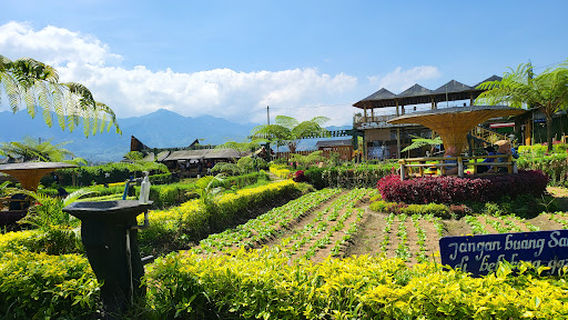 Pujonkidul Ricefield Cafe