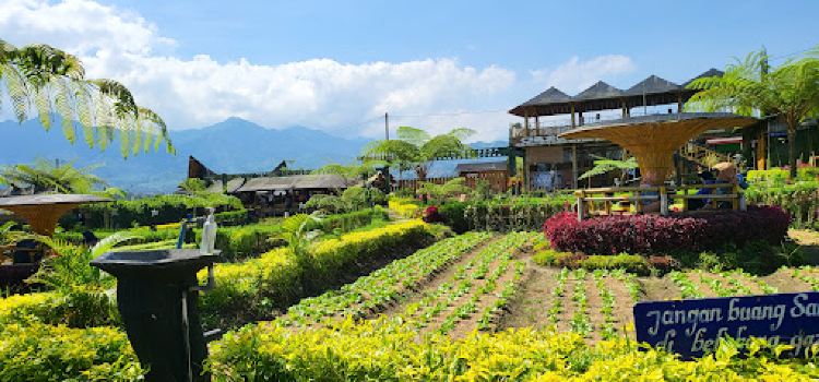 Pujonkidul Ricefield Cafe