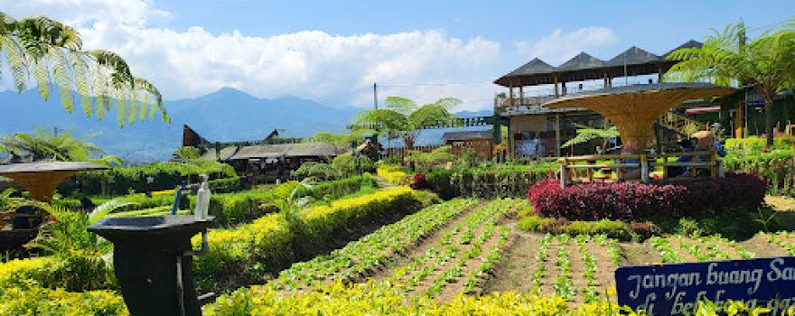 Pujonkidul Ricefield Cafe