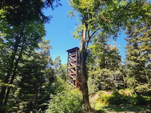 Aussichtsturm Oberfrauenwald