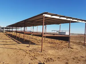 Birdsville Race Club