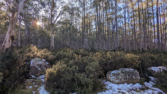 The Steppes Sculptures