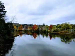 Richardi Park