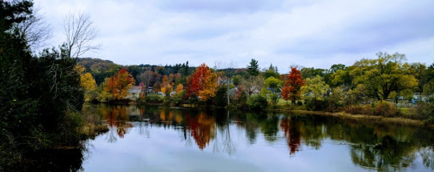 Richardi Park