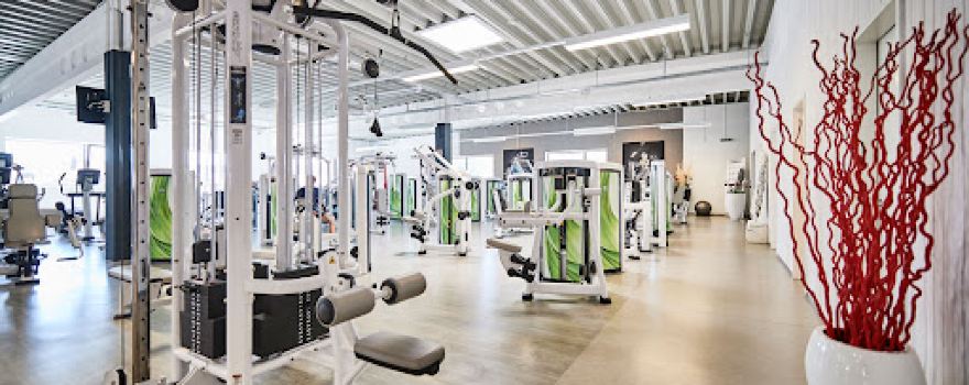Speedfitness Bruckmühl