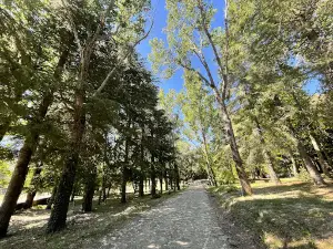 Parco di Iscuvudè