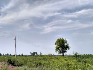 Arvi - Amravati high way road