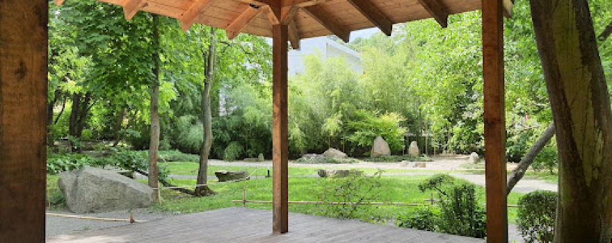 Japanese garden