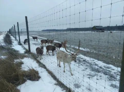 Briežu dārzs ‘Rudiņi’