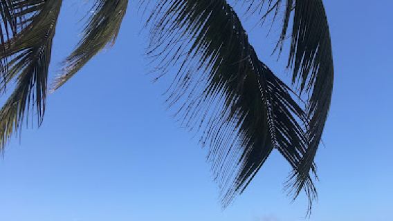 CORAL BEACH COTTAGES & APARTMENTS