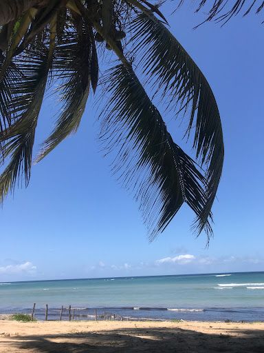 CORAL BEACH COTTAGES & APARTMENTS