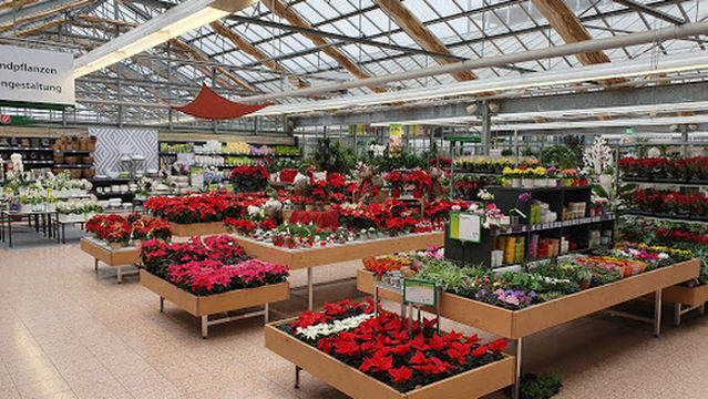 Dehner Garden Center