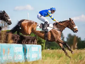 Hippodrome de la Roche Posay