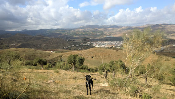 Cave of Ardales