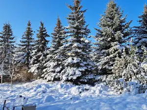 PARK PÓŁNOCNY W PŁOCKU