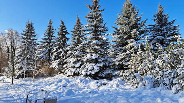 PARK PÓŁNOCNY W PŁOCKU