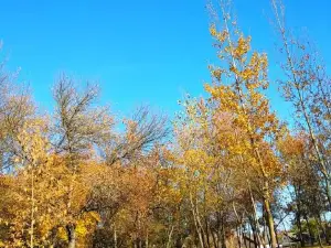 Park