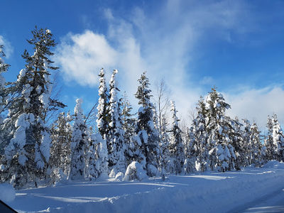 Neitokainen