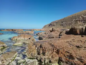 Berry Bay South