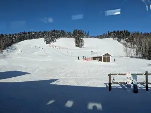 Mystery Mountain Winter Park