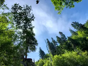 Водопады Хатчет Крик