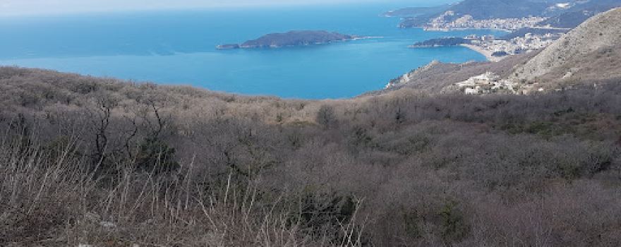 Picturesque viewpoint