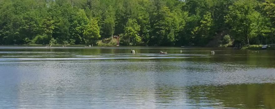 Smallwood Lake