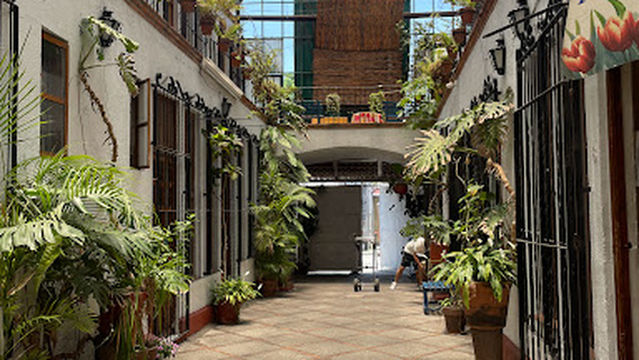 Osteopatía Biomagnética KCM