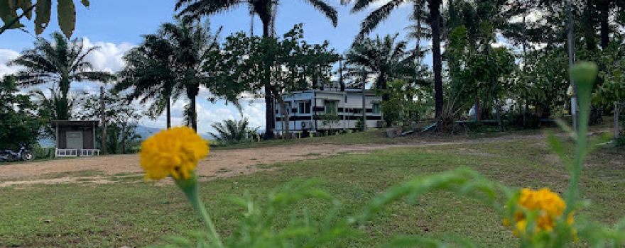 Khao Narai Green View Cafe, Camping and Glamping