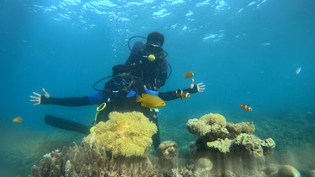 Nemo Divers India