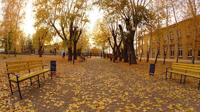 Park Vidpochynku Zaliznychnykiv